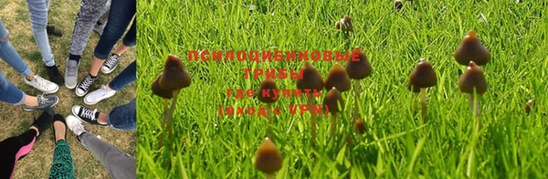 прущая мука Михайловск