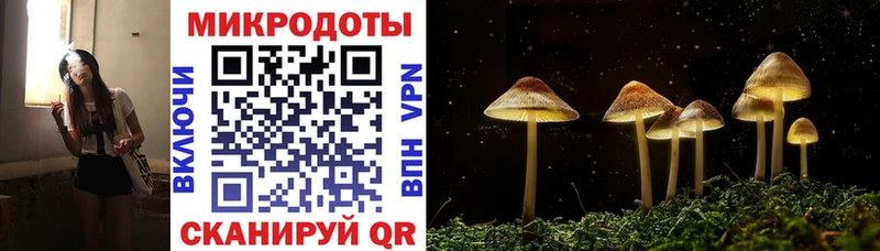 где купить наркотик Удачный блэк спрут ONION Псилоцибиновые грибы Magic Shrooms